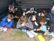 Thumbs/tn_LM_Mannschaften_Quedlinburg_2010 (11).jpg